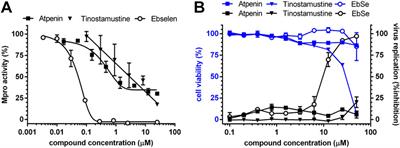 Drug repurposing screening validated by experimental assays identifies two clinical drugs targeting SARS-CoV-2 main protease